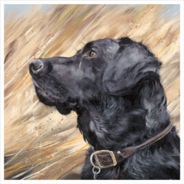 Dog Art