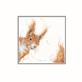 Ginger Nut by Aaminah Snowdon
