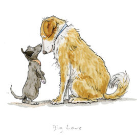 Anita Jeram