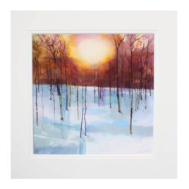 DE Winterlight F74