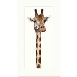 Tall Dappled And Handsome by Dominique Salm
