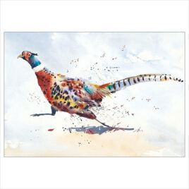 Road Runner, running pheasant,by Jake Winkle