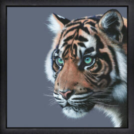 Mesmerised by Martin Robson