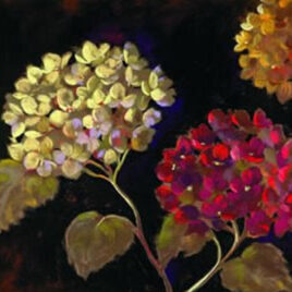Make A Wish II By Nel Whatmore X