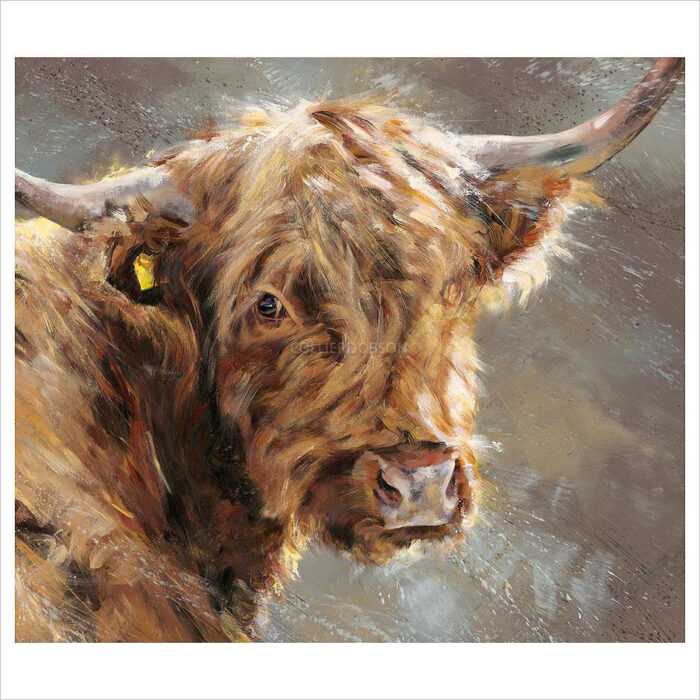 Monty by Debbie Boon