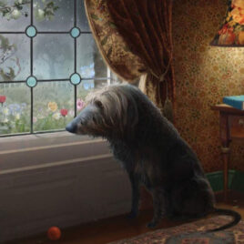 No Walk Today, by Stephen Hanson