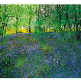 Paul Evans Springtime