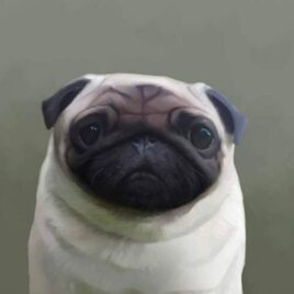 Pugley Stephen Hanson