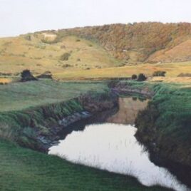 Mike Embden
