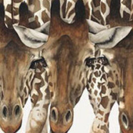 Wildlife Art