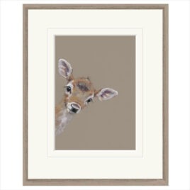 Doe A Deer, by Nicky Litchfield