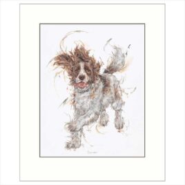 Bounder, by Aaminah Snowdon