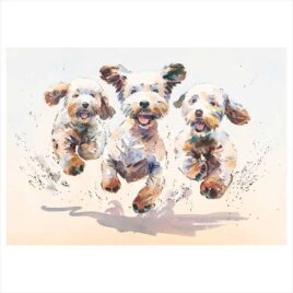 The Three Amigos, by Jake Winkle
