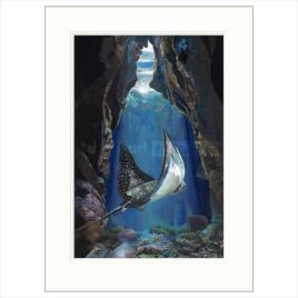 Utopia, by Sarah Jackson