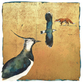 In the Autumn comes the Lapwing, by Jackie Morris