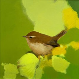 Chiff Chaff in Lush Greens, by Heidi Langridge